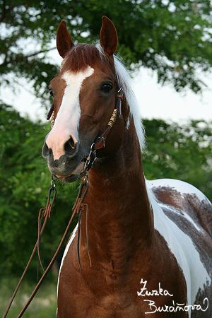 Smiling Little Klaris