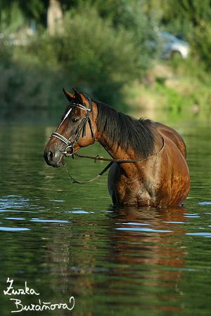Waterffal Waterffal