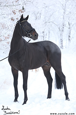 http://staj.ufonek.net/img/staj_ufonek3792.jpg http://staj.ufonek.net/img/staj_ufonek3792.jpg