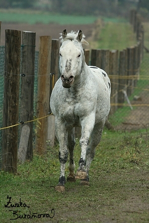 -----~°•°Skipa Rock°•°~------