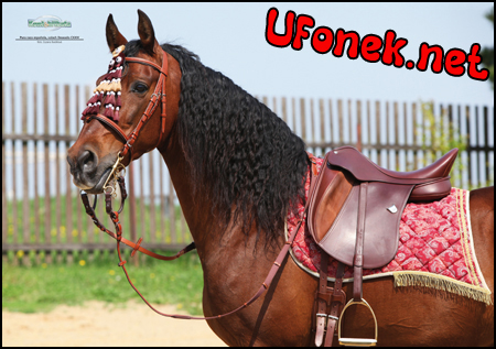 Uv�tac� obr�zek